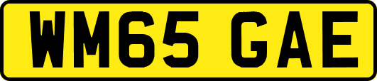 WM65GAE