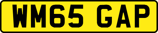 WM65GAP