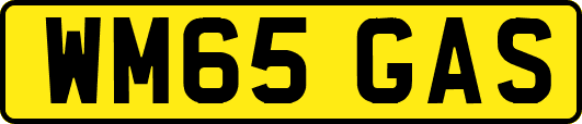 WM65GAS
