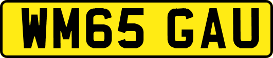 WM65GAU