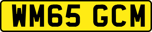WM65GCM