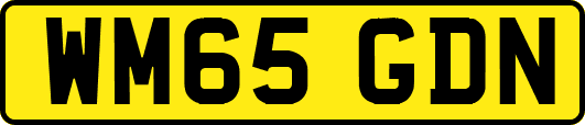 WM65GDN