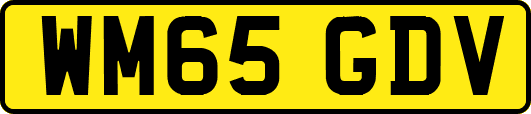 WM65GDV