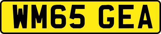 WM65GEA