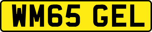 WM65GEL