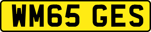 WM65GES