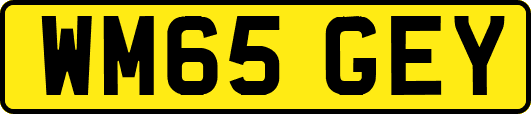 WM65GEY