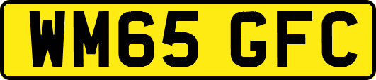 WM65GFC