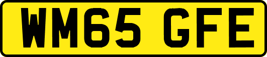 WM65GFE