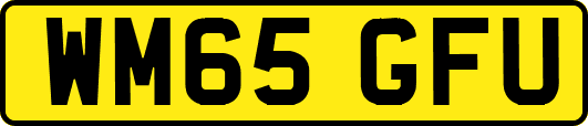 WM65GFU