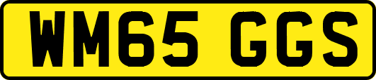 WM65GGS