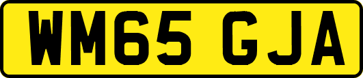 WM65GJA