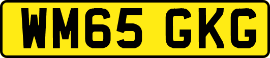 WM65GKG