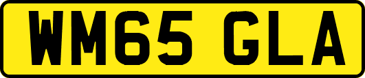 WM65GLA
