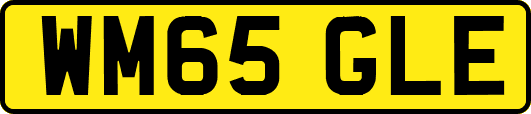 WM65GLE