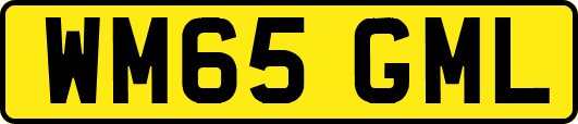 WM65GML