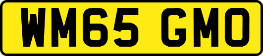 WM65GMO