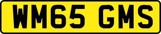 WM65GMS