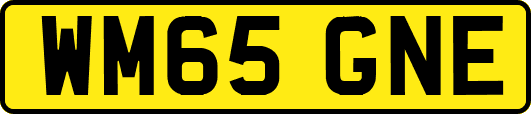 WM65GNE