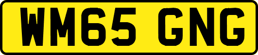 WM65GNG
