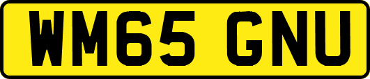 WM65GNU