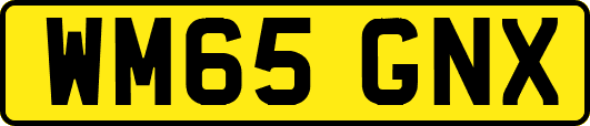WM65GNX
