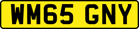 WM65GNY
