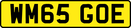 WM65GOE