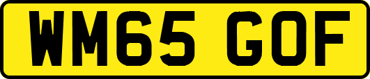 WM65GOF