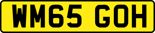 WM65GOH