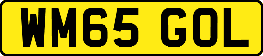 WM65GOL