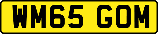 WM65GOM