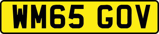 WM65GOV