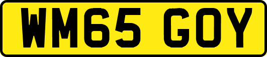 WM65GOY