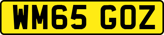 WM65GOZ