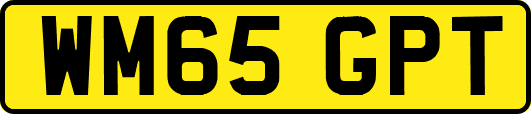 WM65GPT
