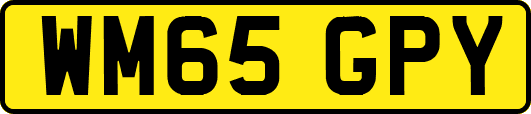 WM65GPY