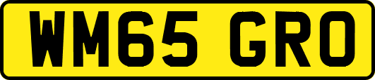 WM65GRO