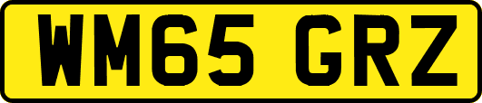 WM65GRZ