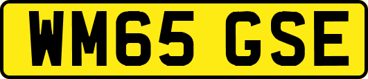 WM65GSE