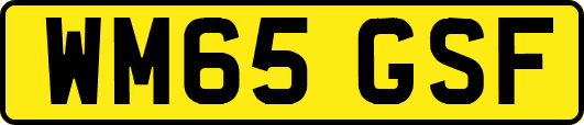 WM65GSF