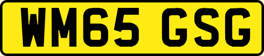 WM65GSG