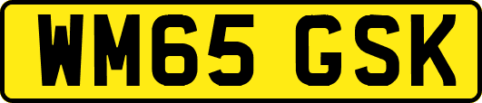 WM65GSK