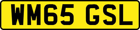 WM65GSL