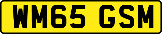 WM65GSM