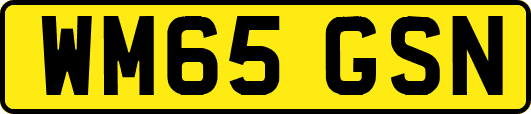 WM65GSN