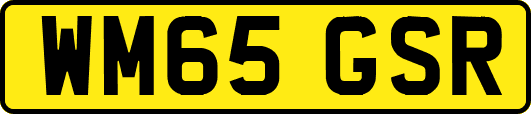 WM65GSR