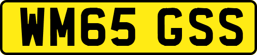 WM65GSS
