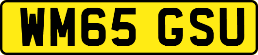 WM65GSU