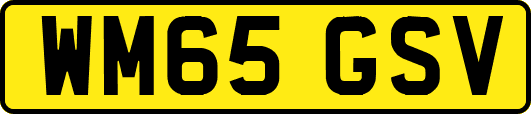 WM65GSV